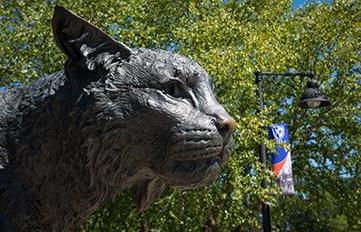 detail of wildcat statue